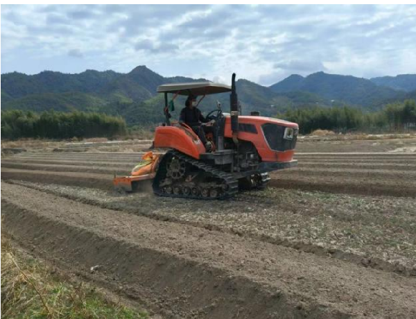 Die Aussaat im Frühling bringt Hoffnung, die Erde kann ihre Vitalität wiedererlangen.