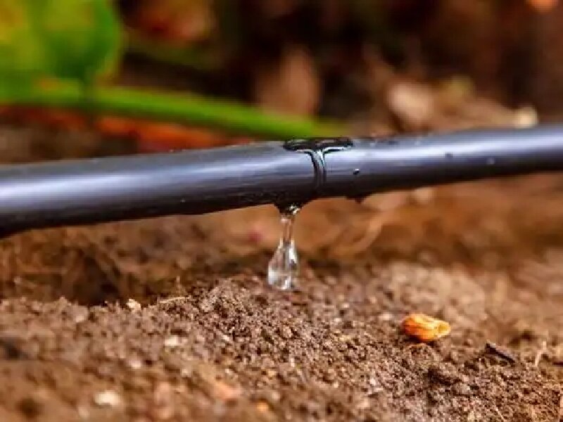 #drop irrigation