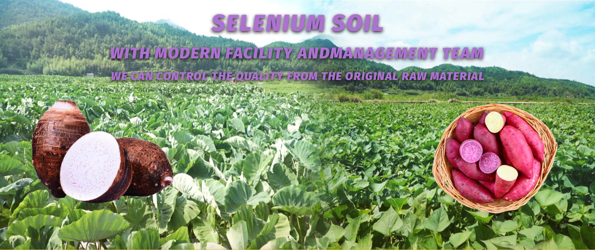 Kartoffelprodukte-Bauernhof